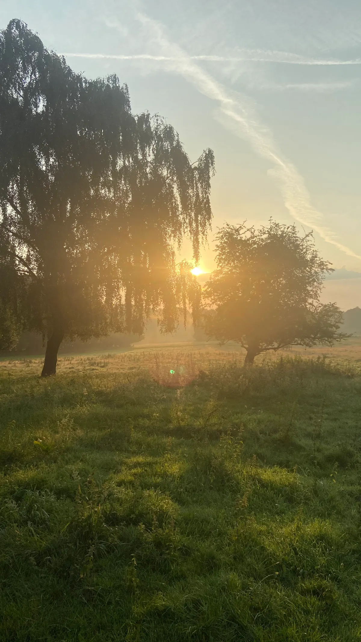 Marbury Country Park