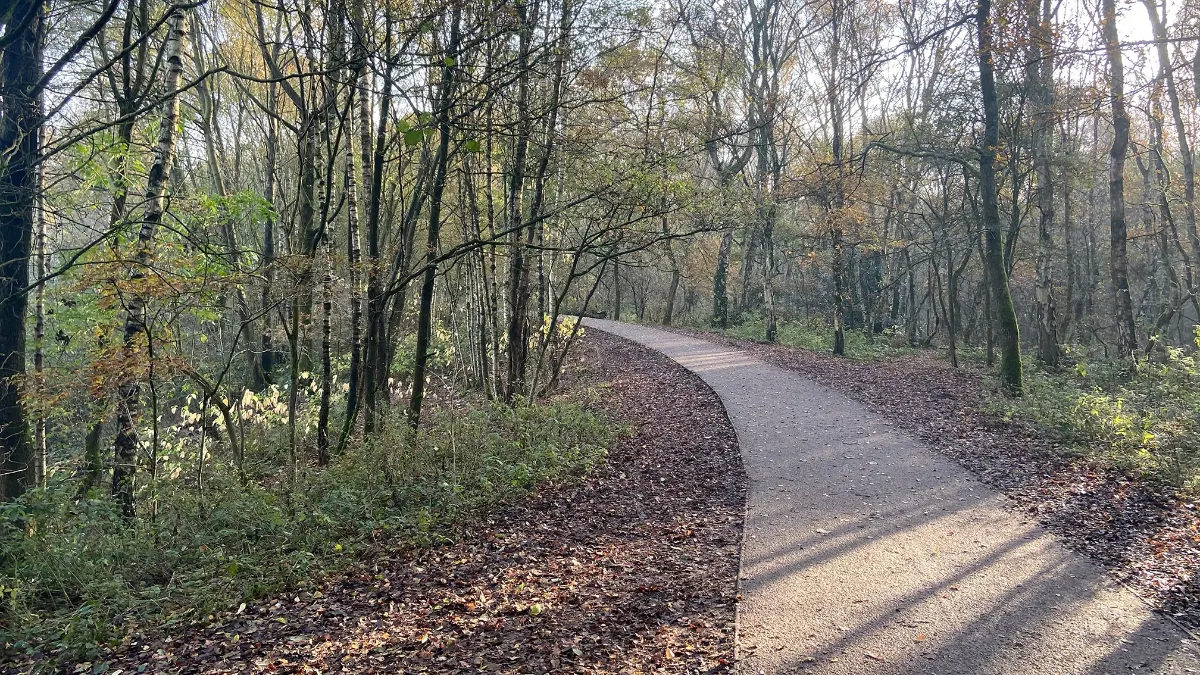 On the Brereton Heath from the Bears Head route
