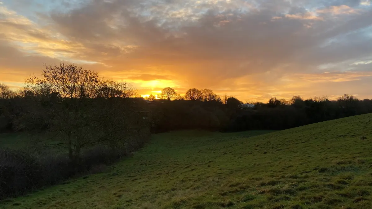 On the Norley Pub Walk from the Tigers Head route