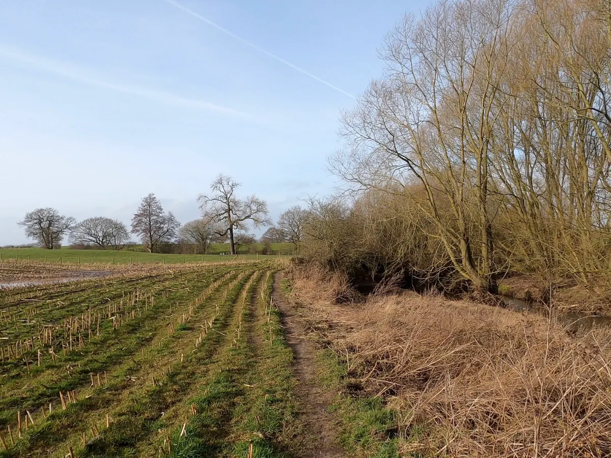 On the Wheelock Loop from Sandbach route
