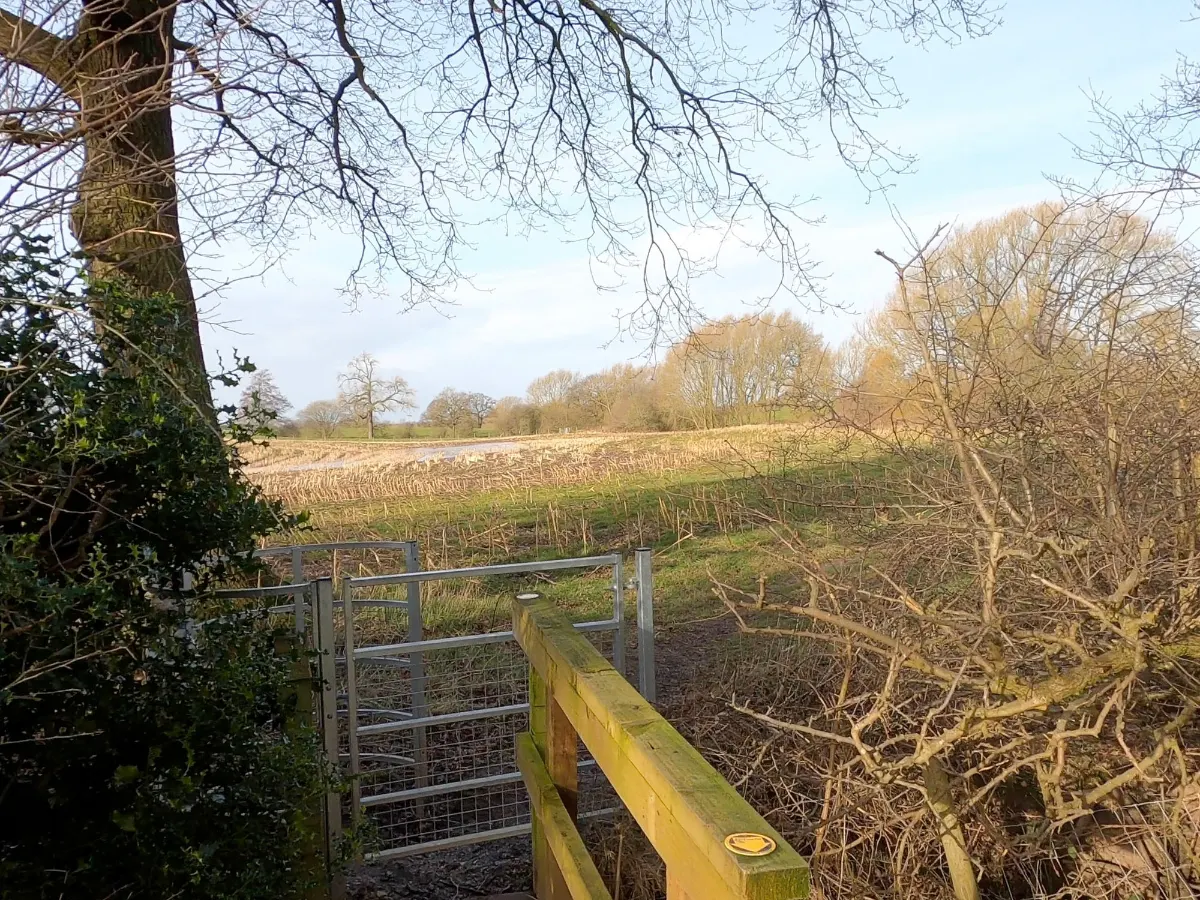 On the Wheelock Loop from Sandbach route