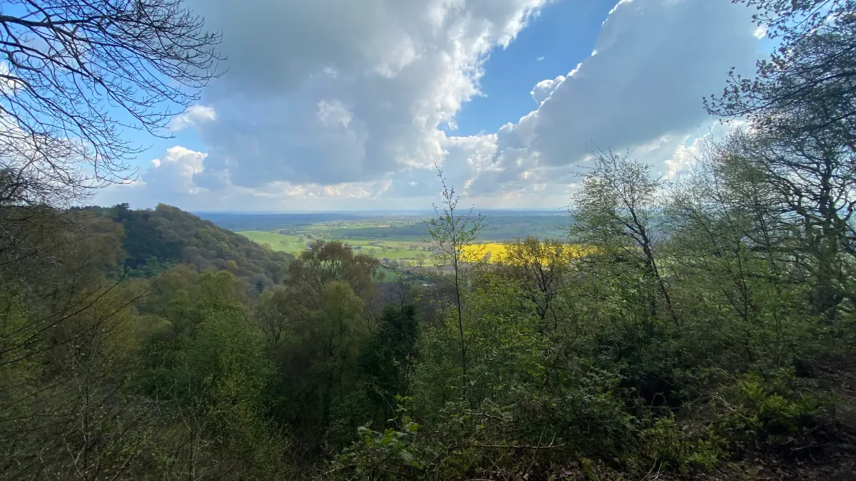 On the Bulkeley Hill and Higher Burwardsley route