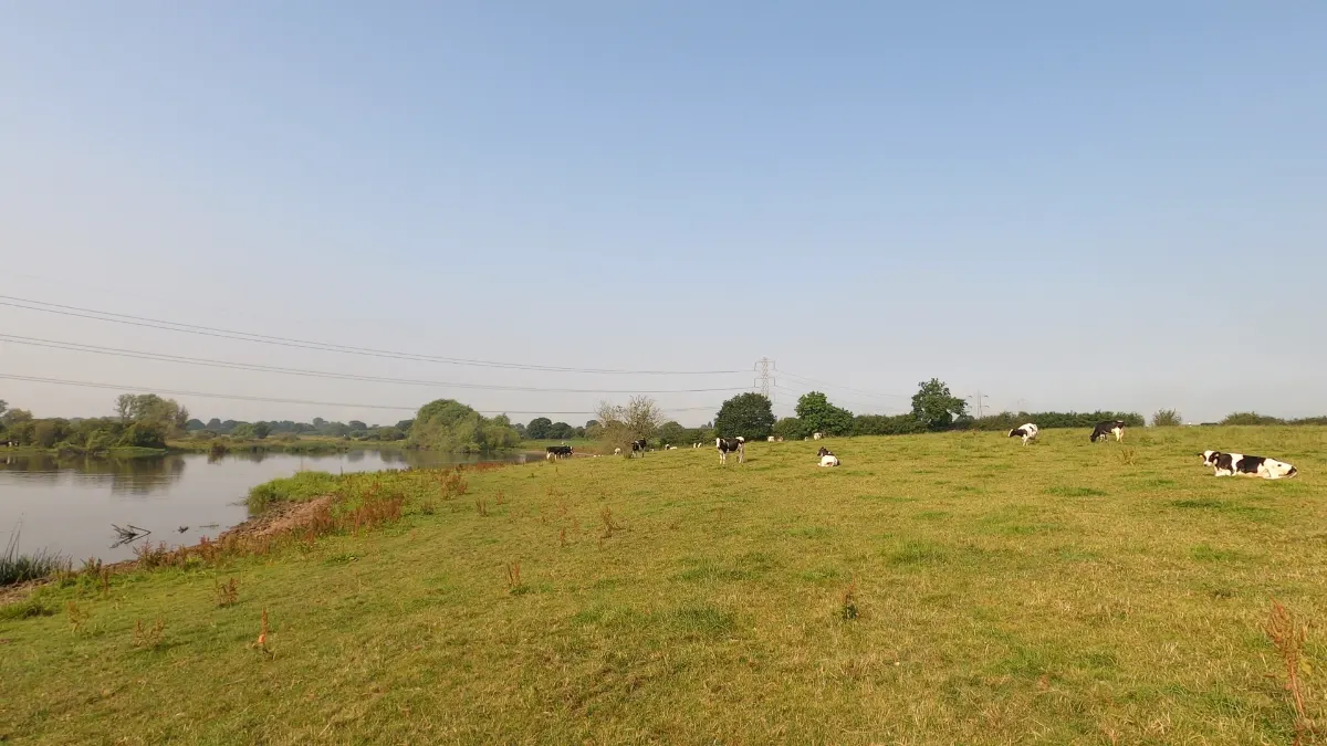 On the Elton Flashes to Warmingham route