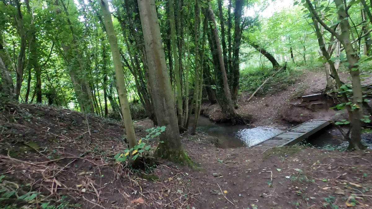 On the Madeley, Wrinehill and Bowsey Wood route