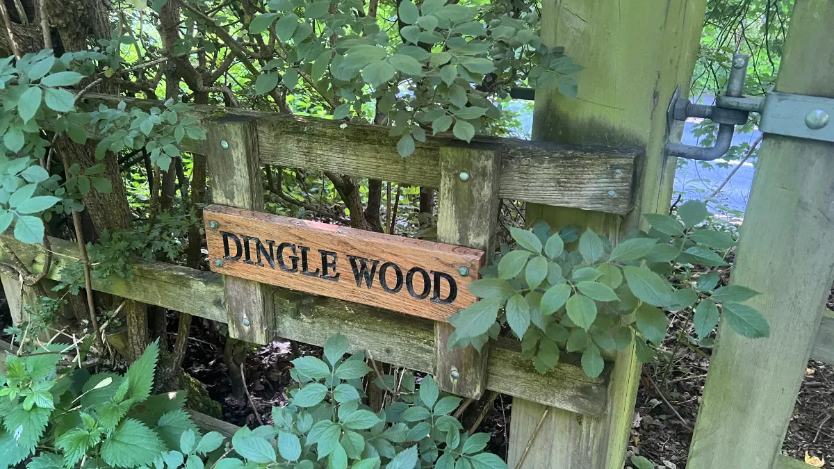On the Sandbach's Newer Paths route
