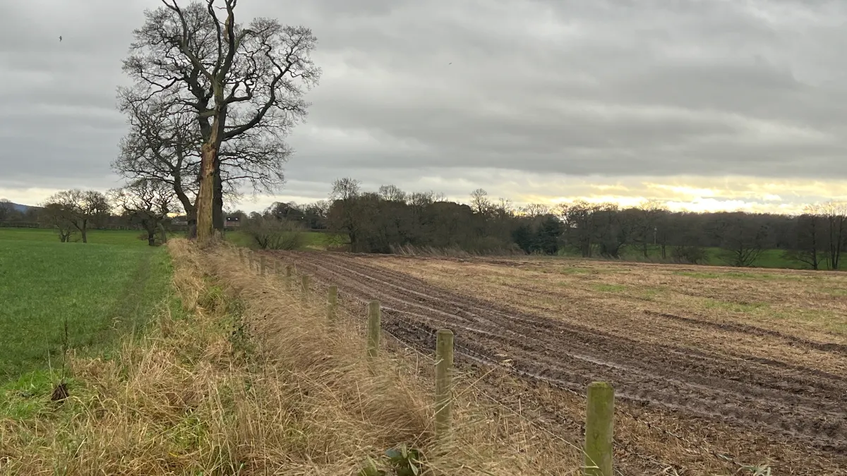 On the Lower Withington by Jodrell Bank route