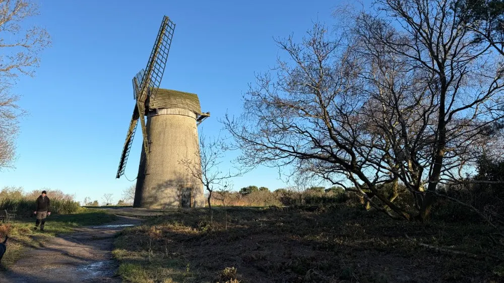 On the Bidston Hill and Bidston Moss route