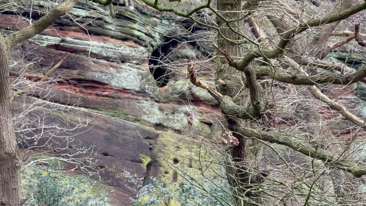 On the Frodsham Hill Circular Walk route